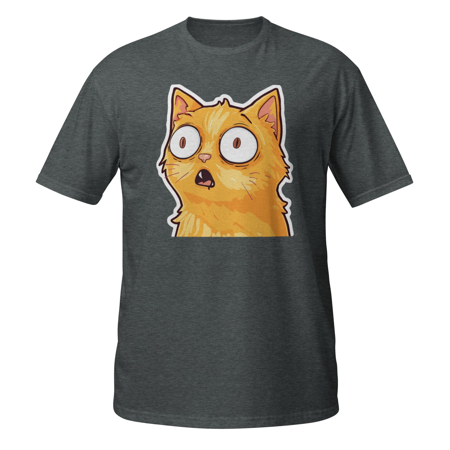 Huh? Orange Cat T