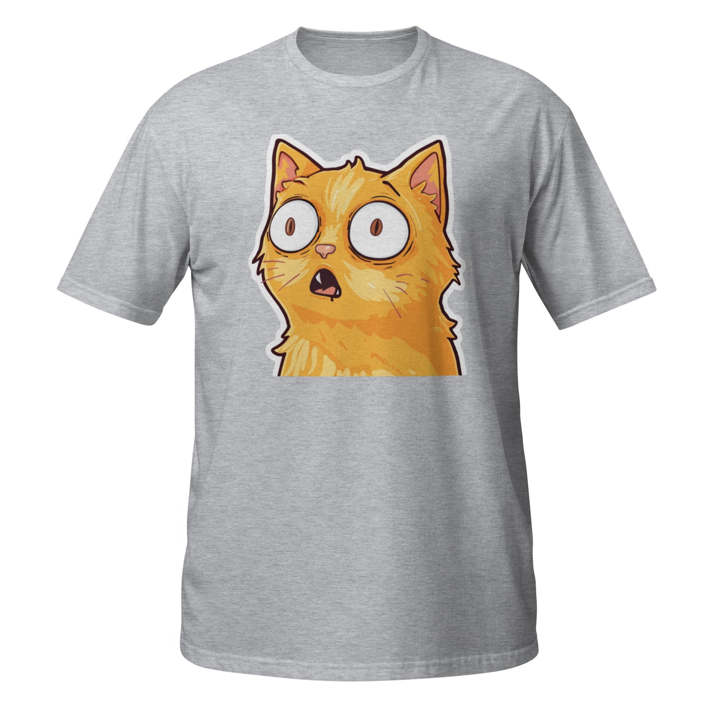 Huh? Orange Cat T